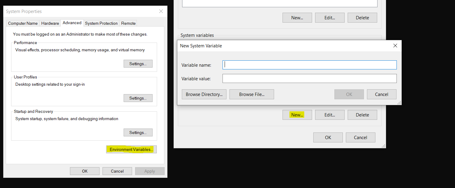 env vars setting